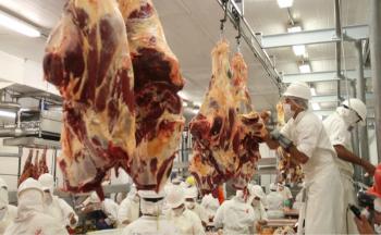 Presentan proyecto de ley para crear un Instituto Nacional de la Carne